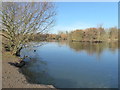 Lake in Hornchurch Country Park in RM13 9SH