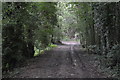 Footpath, Newbars Wood in TN2 4QH