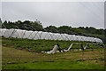 Polytunnels, Downingbury Farm in TN2 4AE