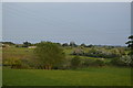Grass, trees and bushes in TN26 2LR