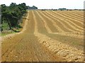 Farmland near Shrewton in SP3 4DP