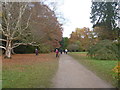 Westonbirt Arboretum [1] in GL8 8QS