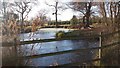 Pond near Three Maypoles in B90 2RB