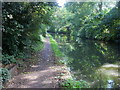 Grand Union Canal Walk in B92 8NH