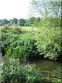 River and water meadows near Old Carr wood in NR19 2NR