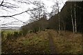 Path in Methven Wood in PH1 3NF