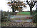Field entrance and footpath off Hoofield Lane in CH3 9BJ