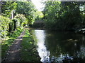 Grand Union Canal Walk in B92 9LN