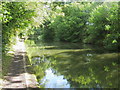 Grand Union Canal Walk in B91 2TN