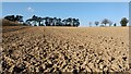 Arable field, Brundall in NR13 5RE