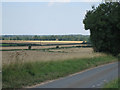 Wheatfields ready to harvest near Narrowgate Farm in PE32 2YQ