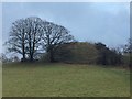 Castlehaw motte and bailey in LA10 5LE