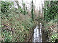 Hinton Meads Brook in TA12 6BX