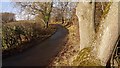 Minor road by Yarrow in EH42 1TQ