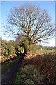Monarch's Way in winter sunshine in WV10 8QR