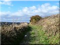 Path joins bridleway [2] in SN11 0PN