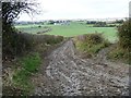 Bridleways cross [1] in SN11 0PN