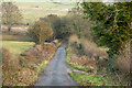 Road descending from near Whitcliffe Farm in Richmond