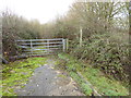 Footpath enters woodland in RH15 8UR