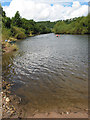 River Wye downstream from Lower Lydbrook in GL17 9NJ