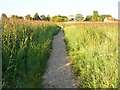 Footpath through the Reedbeds in PO18 8AN