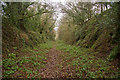 Disused railway trackbed in PL19 8HS