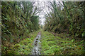 Old Railway Trackbed in PL19 9BA