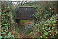 Tavistock Canal Bridge in PL19 8HS