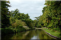 Llangollen Canal north-west of Marbury in Cheshire in Marbury and District