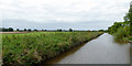 Flat canalside pasture north-west of Marbury, Cheshire in Marbury and District