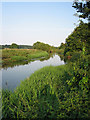 River beside Swanton Morley road, near Worthing, Norfolk in NR20 4RQ