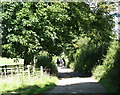 Riders from the Equestrian Centre at Tal-y-Foel on the Cae Mawr track in LL61 6LQ