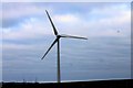 Wind Turbine in AB41 6QR