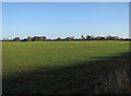 Field and water tower in Gazeley