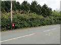 Queen Elizabeth II postbox on a wooden pole, Stapeley in Nantwich South and Stapeley Ward