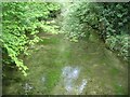 Part of the river Itchen in SO24 0QS