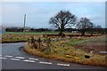 Back road to Edzell from the southwest in DD9 7QN