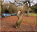Wooden squirrel on a tree stump, Drybrook in GL17 9JP