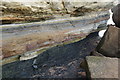 Seam of coal in Bleaching Rocks, Gullane Bay in EH31 2BH