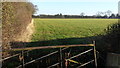 Field landscape east of Barnacle in CV7 9LD