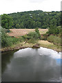 Looking south from Kerne Bridge over the Wye in HR9 6HZ