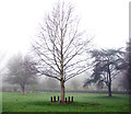 RAF Memorial Tree at St Faith's Crematorium in NR10 3GX
