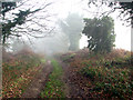 View east along Green Lane in the fog in NR10 3ED