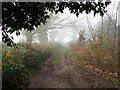 View west along Green Lane in the fog in NR10 3ED