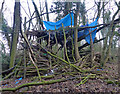 Abandoned shelter in a wood in LE19 4AZ
