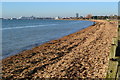 Along the beach at Weston in SO19 9LA