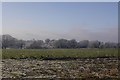 Frosted field. Knockin Heath in SY10 8DX
