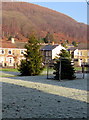Christmas trees in Cwmcarn Memorial Gardens in NP11 7GB