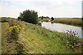 River Witham in LN10 6XJ