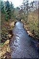 Kerbet Water looking downstream in DD8 1RN